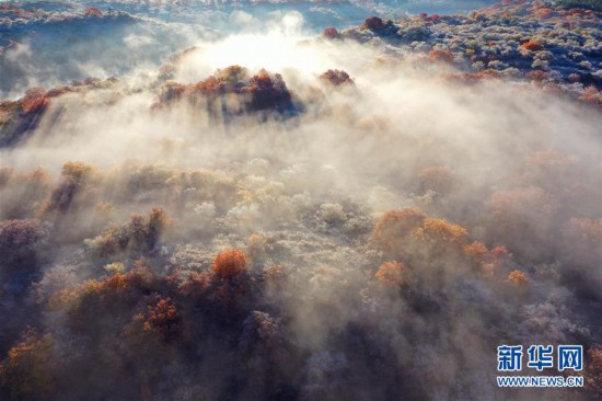 （美丽中国）（7）五彩斑斓的科尔沁秋景