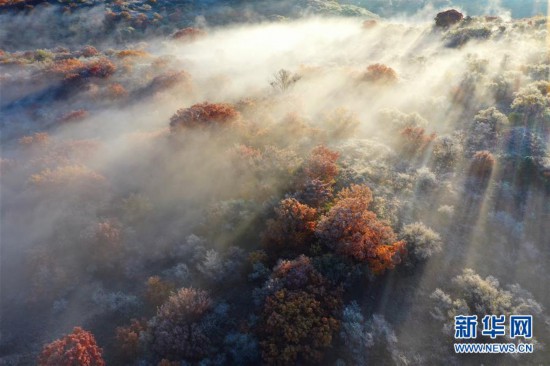 （美丽中国）（8）五彩斑斓的科尔沁秋景