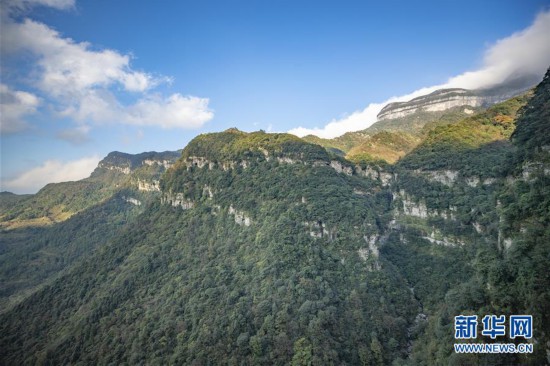 （环境）（3）重庆南川：金佛山上秋意浓