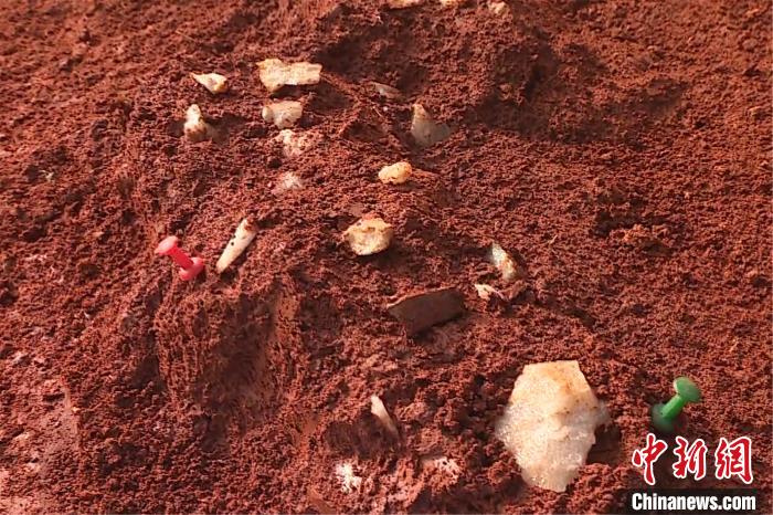 江西发现旧石器时代旷野遗址出土5000余件石制品