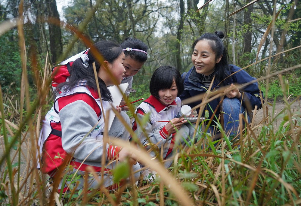 在九岭山国家级自然保护区，邹鸿堰（右一）给孩子们介绍森林里的植物（3月18日摄）。新华社记者 万象 摄