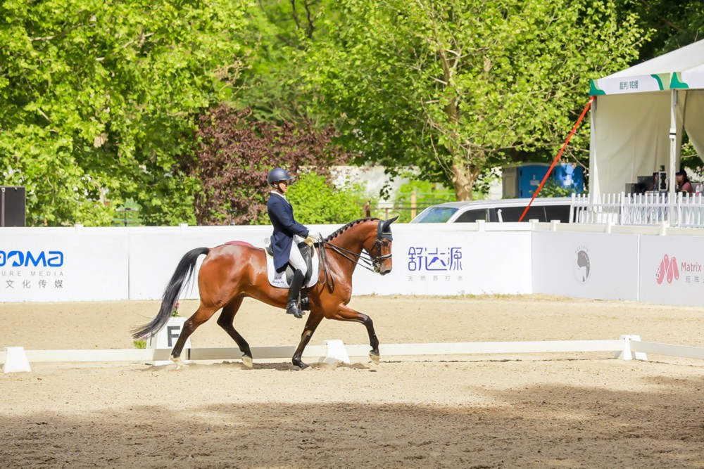 如图片无法显示,请刷新页面