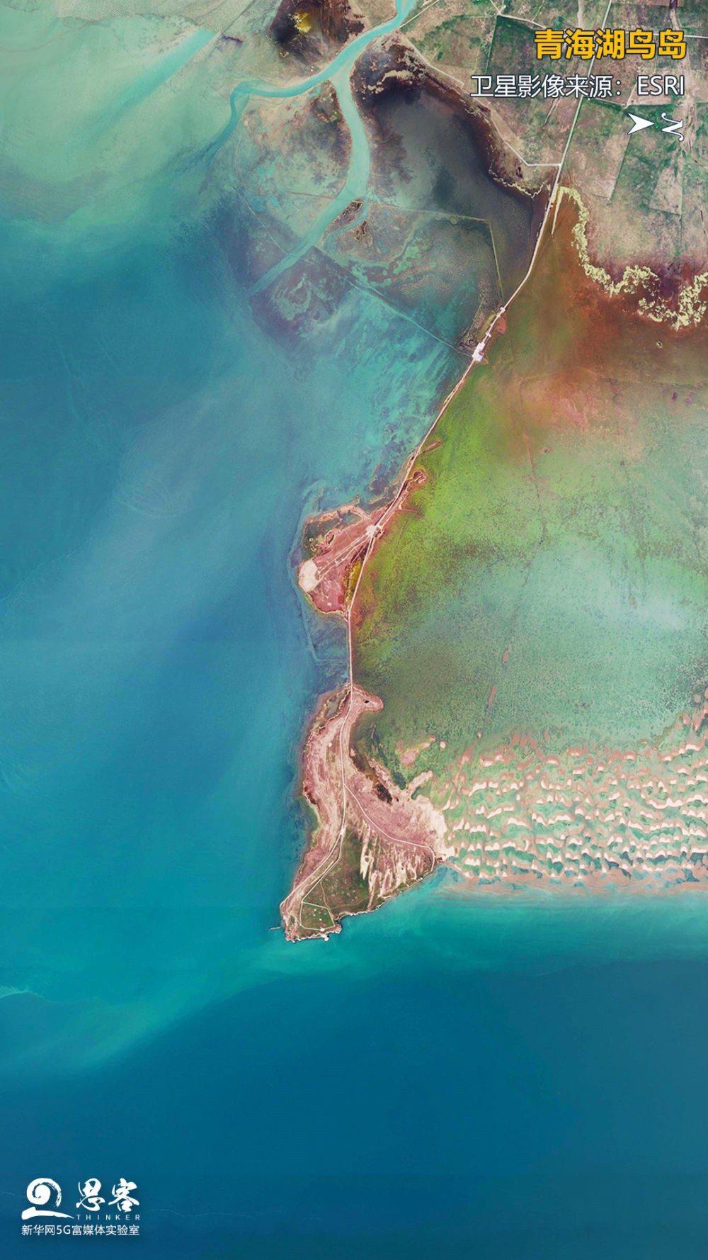 卫星视角下的青海湖鸟岛。卫星影像来源：ESRI