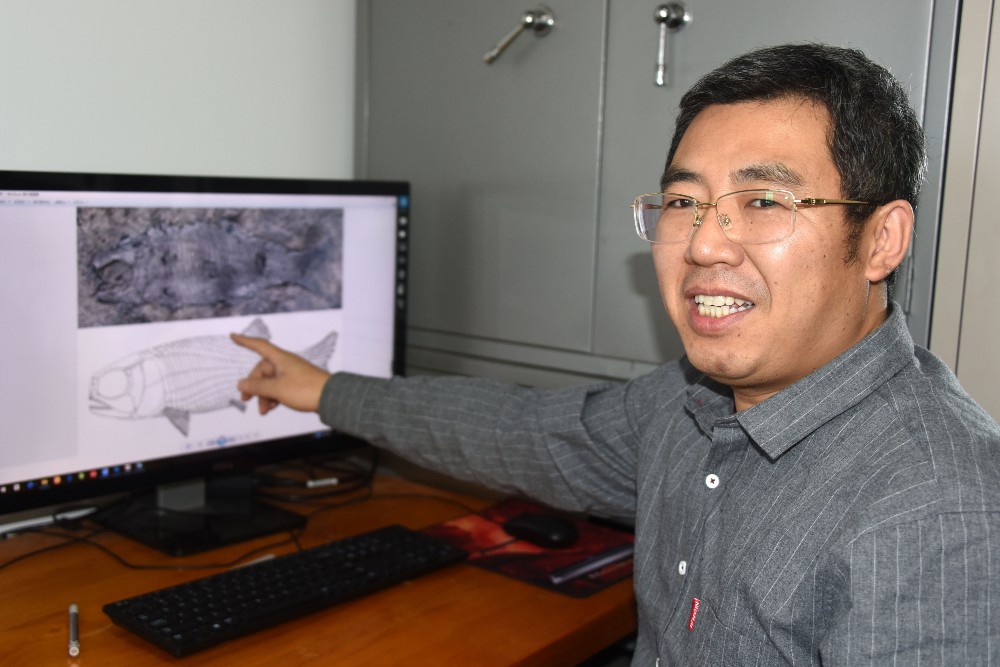 10月26日，徐光辉研究员当天下午在北京办公室接受中新社记者采访，介绍亚洲肋鳞裂齿鱼化石研究最新成果。