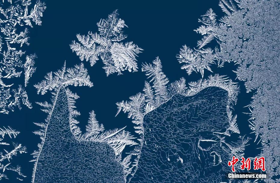 东北冰窗花朵朵开，不可复制的大自然“剪纸艺术”！ - 中国日报网