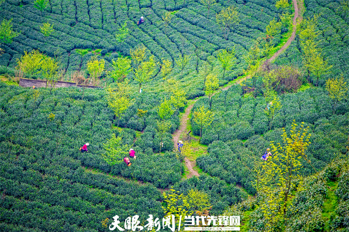 4 - 副本 (3) - 副本 - 副本 - 副本.jpg