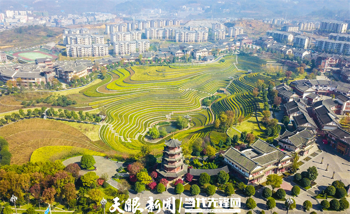 4 - 副本 (3) - 副本 - 副本.jpg