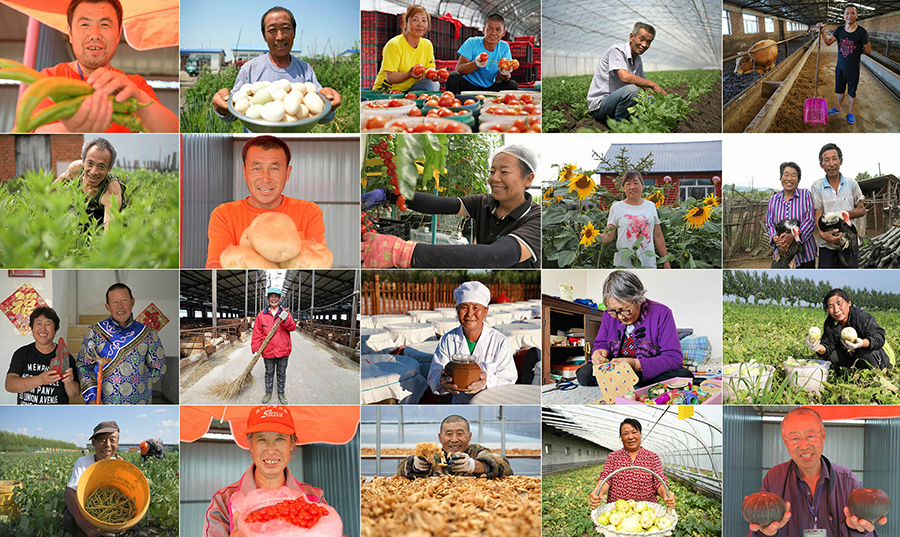 拼版照片：这是黑龙江省20余个市县的部分建档立卡户，在自己受益的扶贫产业中面露笑容（拍摄时间为2020年7至10月）。