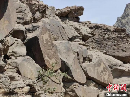 宁夏石嘴山境内发现30余幅以马和鹿图案为主的新岩画
