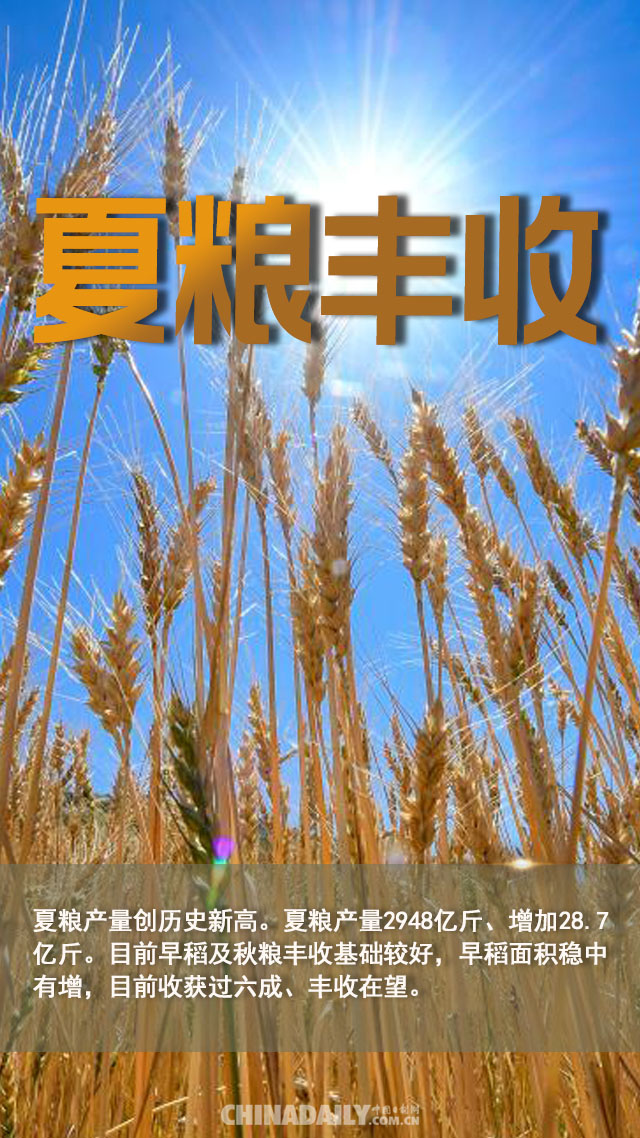 【海报】农业农村经济半年报 | 农民增收好“丰”景