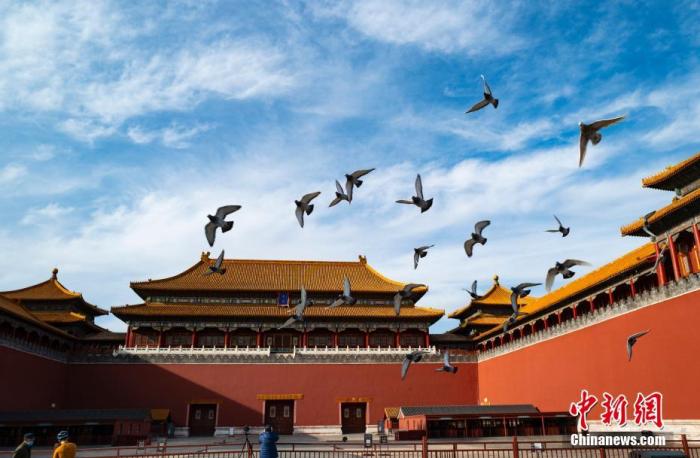 资料图：一群鸽子在北京故宫博物院午门外广场展翅飞翔。<a target='_blank' href='/'>中新社</a>记者 侯宇 摄
