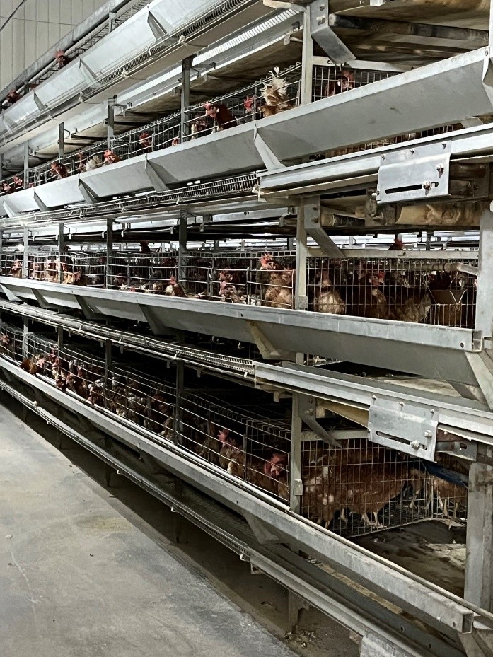 索尼与天津农科院合作开发轻量级智慧养殖巡检系统