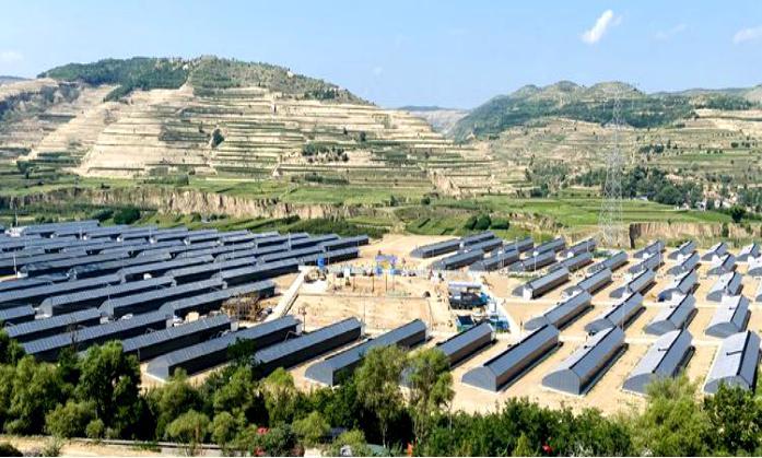 静宁县界石铺镇:依托定点真情帮扶资源 有力助推特色产业振兴