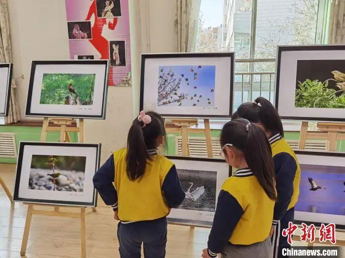 资料图：2021年12月28日，甘肃省妇联保育院的孩子们观看兰州市野生动物优秀摄影作品科普巡展。徐雪 摄 　