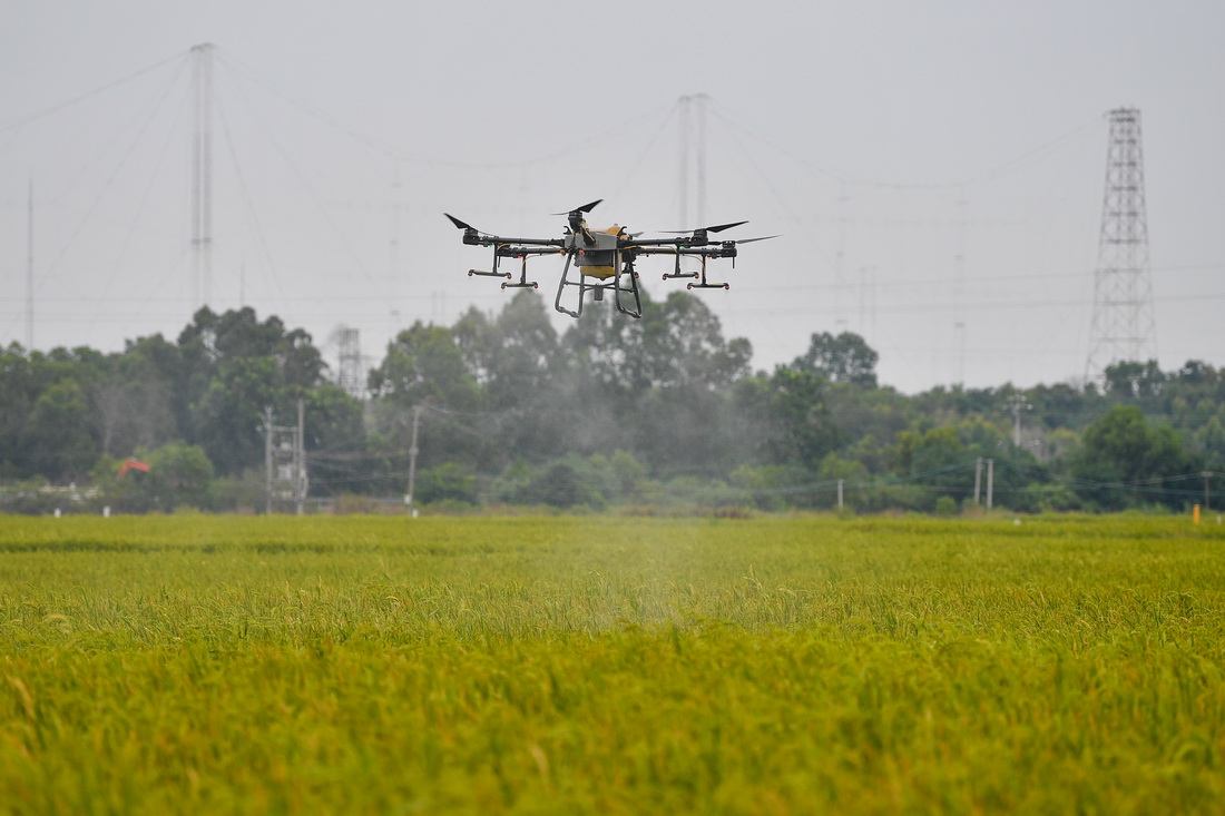 10月15日，无人机在位于海南省东方市的海南湘谷源农业有限公司制种基地喷洒农药。