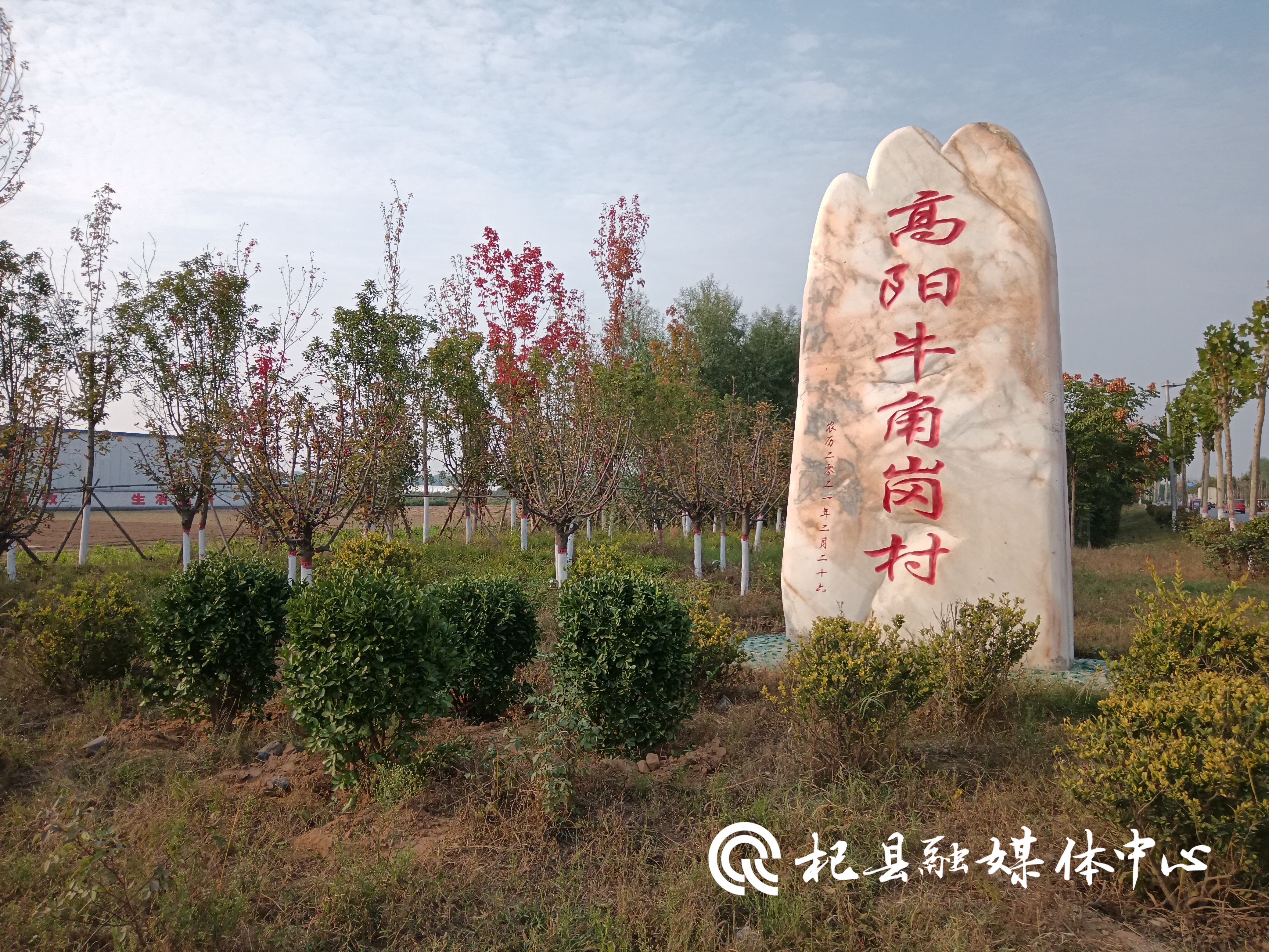 81e6ccc4b91708d92eabdbd88b5b746.jpg