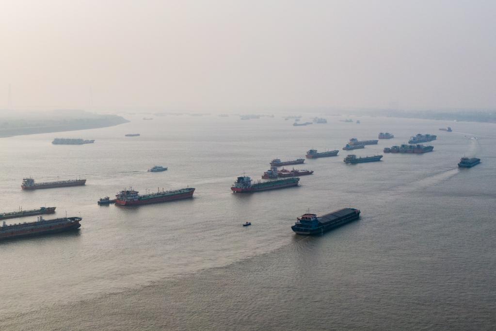 从长江航运大数据看长江流域经济韧性和潜力