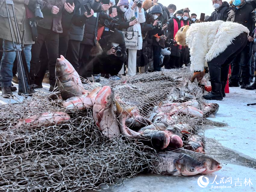 冰湖腾鱼。人民网 马俊华摄