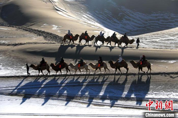 1月27日，游客骑骆驼畅游敦煌鸣沙山。　张晓亮 摄