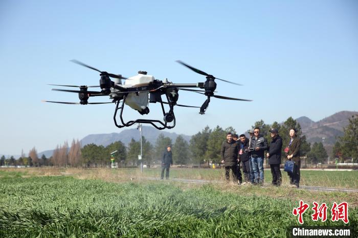 飞手操作农业植保无人机进行作业。　胡扬辉 摄