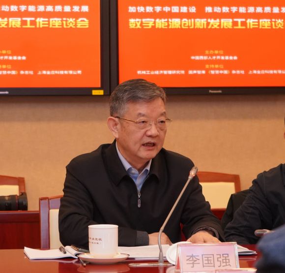 李国强:瞄准数字能源,开辟“双碳”发展新赛道