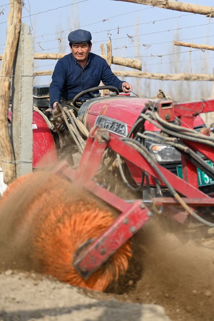 3月8日，在吐鲁番市高昌区葡萄镇，农民操作开墩机在葡萄地里作业。