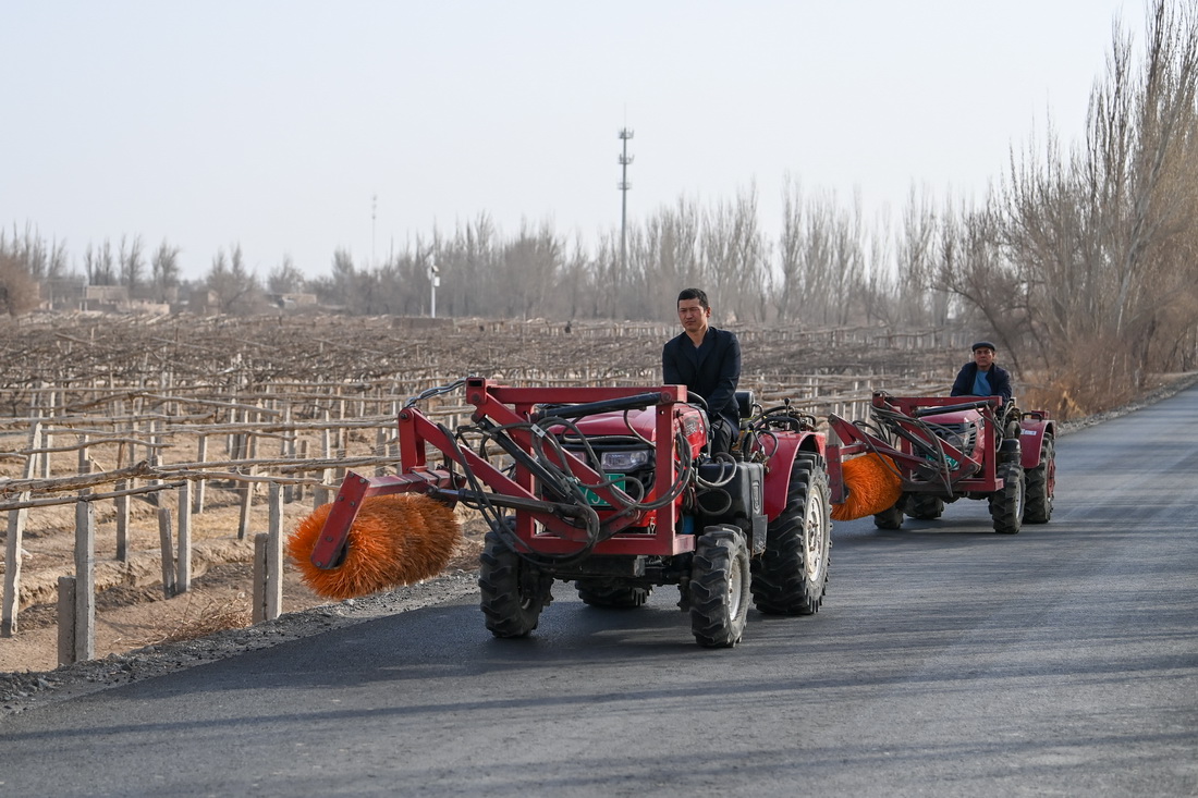 3月8日，在吐鲁番市高昌区葡萄镇，农民驾驶开墩机前往葡萄田。