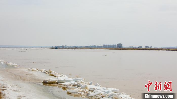 黄河内蒙古托克托县段开河后岸冰即将脱岸。　张玮 摄