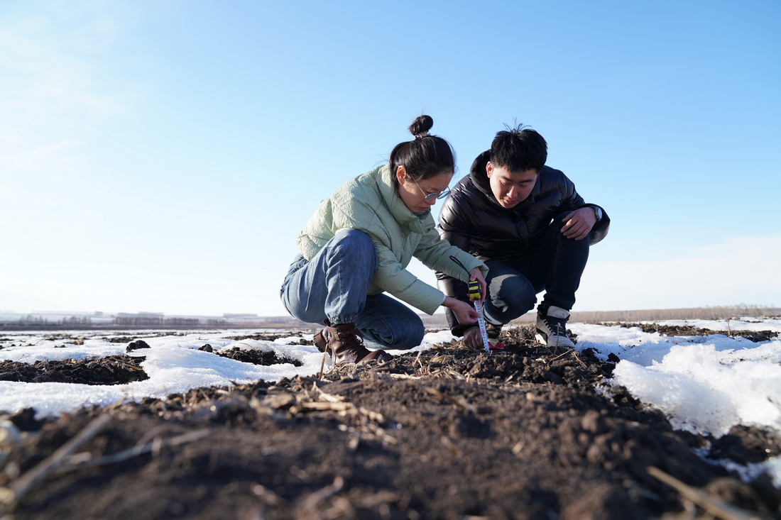 3月14日，在北大荒集团建设农场有限公司农业科技园区试验田，孙凡红（左）与同事测量融雪期土壤融化深度情况。