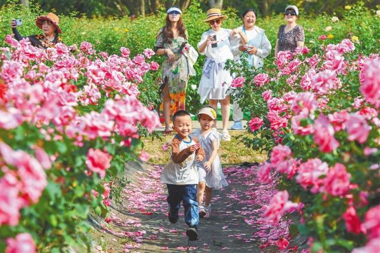 三亚博后村：曾发展落后BG真人的小村庄已成为网红打卡地(图1)