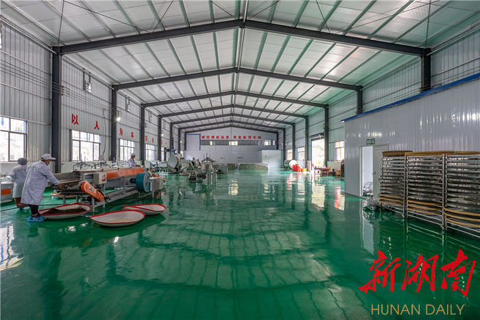 泸溪县辛女溪茶叶加工厂正式投产 年加工鲜叶750吨