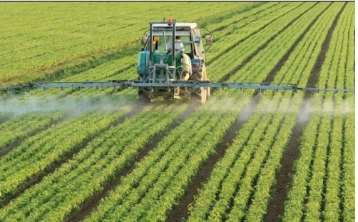 中海富华投资管理(北京)有限公司:未来农业发展趋势