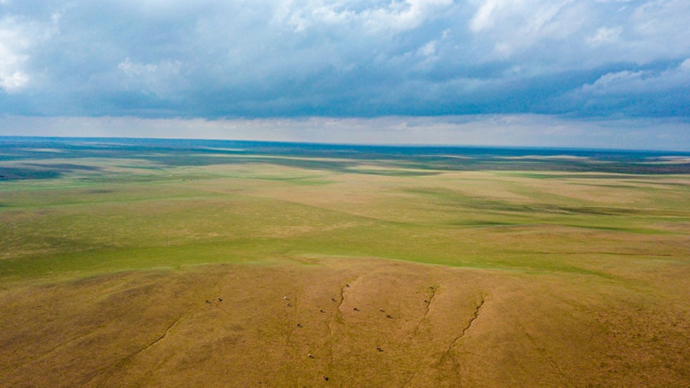 这是5月30日拍摄的内蒙古锡林郭勒盟苏尼特右旗境内的草原风光（无人机照片）。新华社记者 彭源 摄 