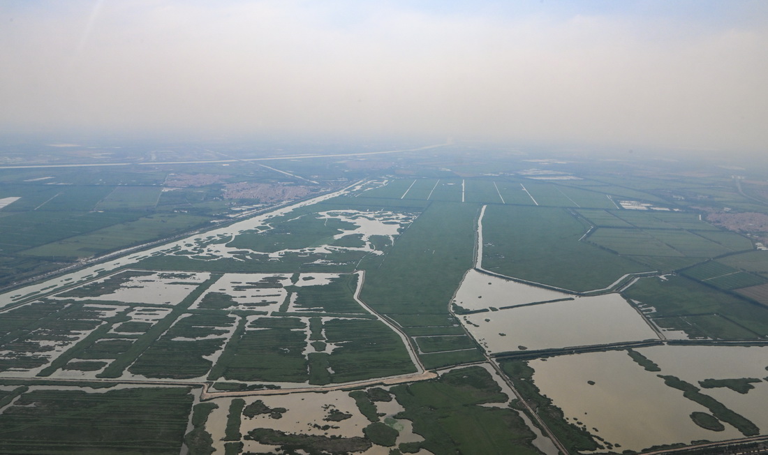 这是6月16日从直升机上拍摄的位于天津市宁河区的七里海湿地自然保护区。