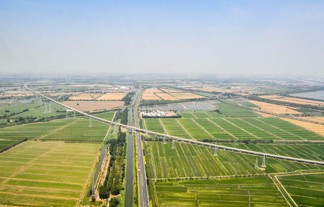 这是6月16日从直升机上拍摄的天津城郊的一片农田。