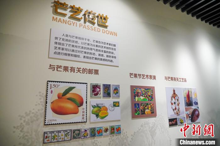 图为中国芒果博览馆一角。　韦国政 摄