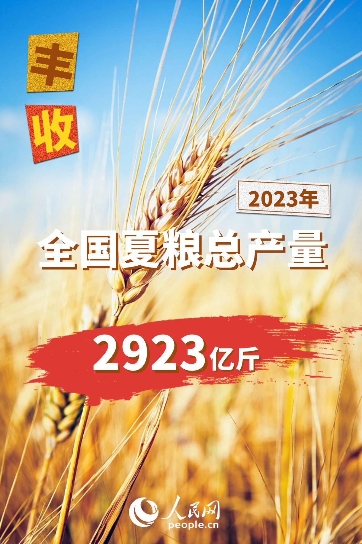 2023年全国夏粮总产量14613万吨 实现丰收
