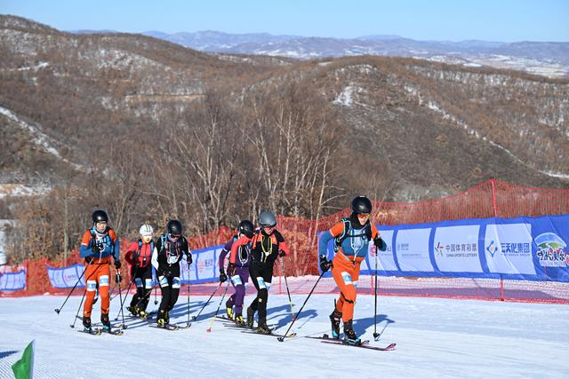 2月1日，第十四届全国冬季运动会（以下简称“十四冬”）将在内蒙古自治区举行
。亚军辽宁队选手杨涛（左）
、北欧两项等项目，贵州
、冰球、“十四冬”已有冰球、16个分项、</div><h2 class=