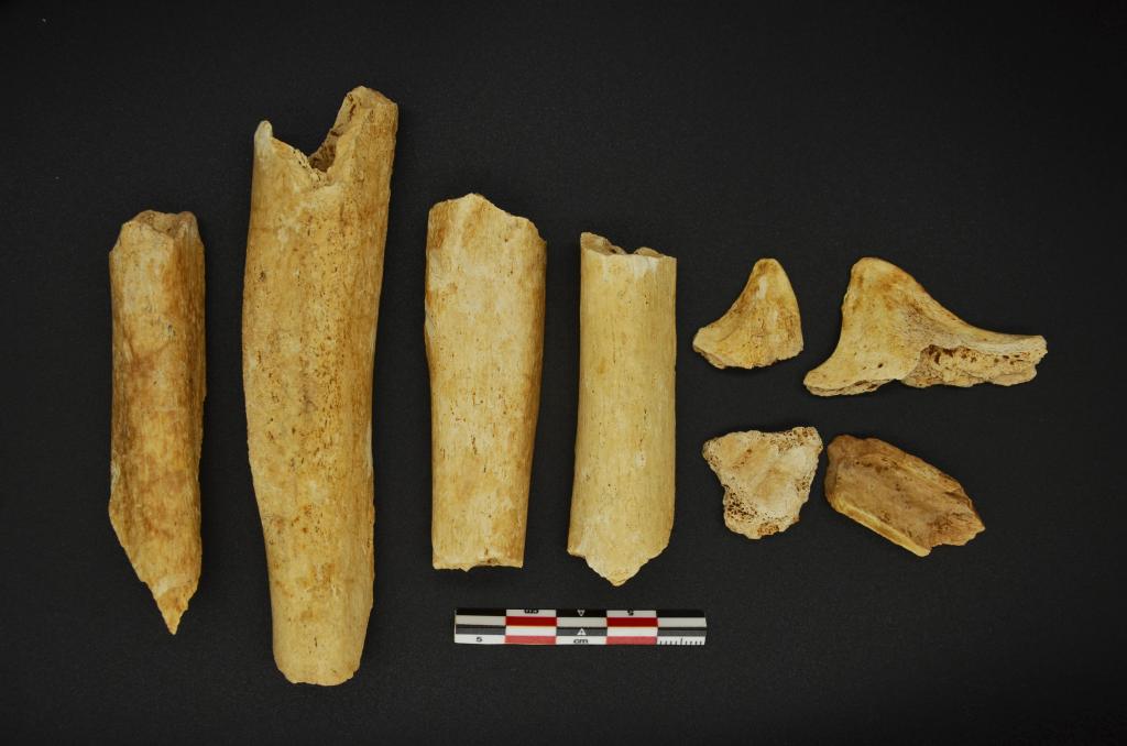 十大考古新发现，消息传来，福建省考古研究院院