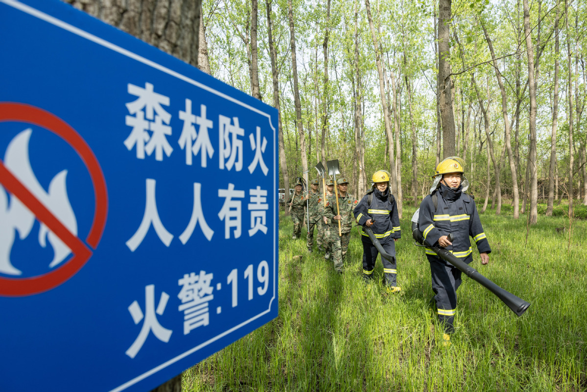 2024年4月9日，合肥市大房郢水库水源保护地庐阳经济开发区段，基干民兵正在林间巡查火灾隐患。