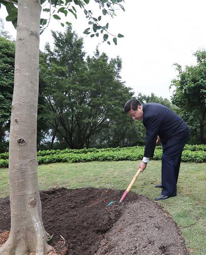 改造·印记丨12年，总书记种下的“信心树”枝繁叶茂_附近100块钱上门_400元小时快餐电话