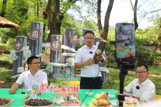 17231746<span style='background-color: orange'><span style='background-color: orange'>20</span></span>52<span style='background-color: #b5d324'><span style='background-color: #b5d324'>678</span></span>6.png