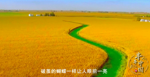 百度百家号推出自制栏目《丰年中国》讲述中国大地丰收奇迹