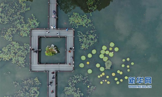 （环境）（3）杭州西湖：秋色淡染