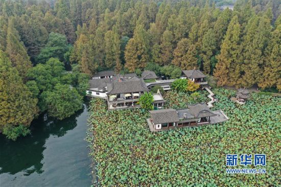 （环境）（1）杭州西湖：秋色淡染