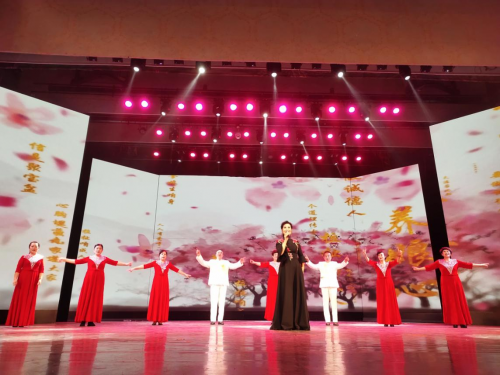 “盛世夕阳红”第四十九届中国文化艺术交流大赛厦门隆重举办