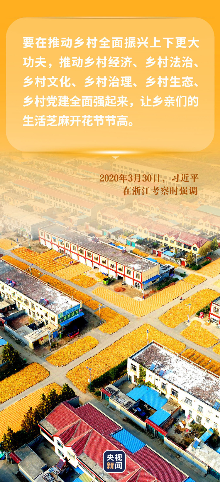 习近平心中的“三农”画卷