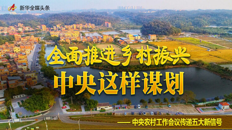 全面推进乡村振兴，中央这样谋划——中央农村工作会议传递五大新信号