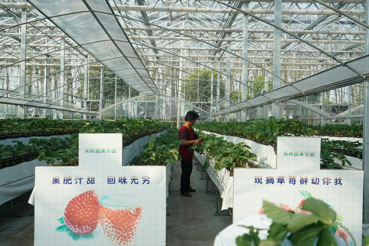 全面推进乡村振兴，中央这样谋划——中央农村工作会议传递五大新信号