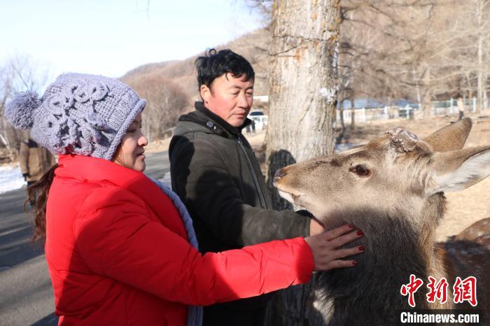 图为白狼镇鹿村村支部书记郑晓林为游客讲解梅花鹿全身都是“宝”。　张玮 摄